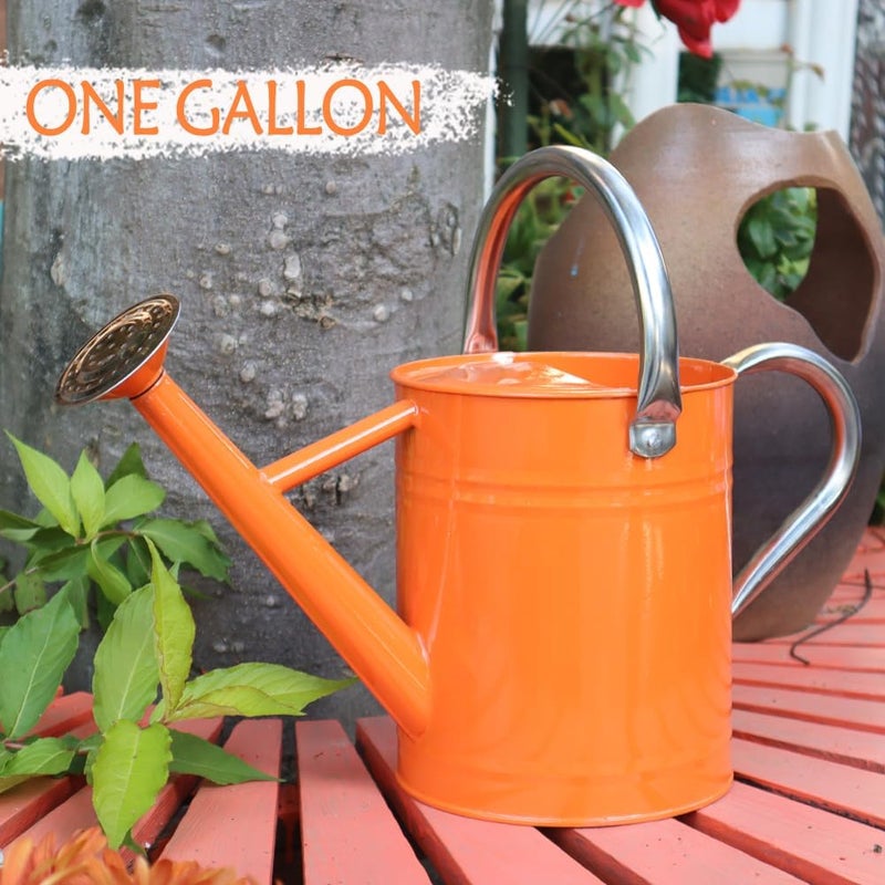 yourjoy Metal Watering Can, One Gallon Watering Cans Stainless Steel for Outdoor Indoor Garden Plants Watering (Stainless Steel Handle Orange) - Image 3